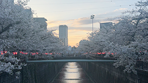 【同窓会コラム】若尾会2026「新役員、大学生生活がスタート」［2026/04］