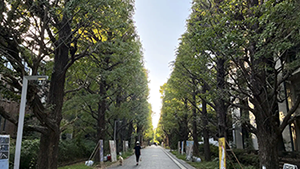 【同窓会コラム】若尾会2026「秋学期のはじまり」［2026/10］